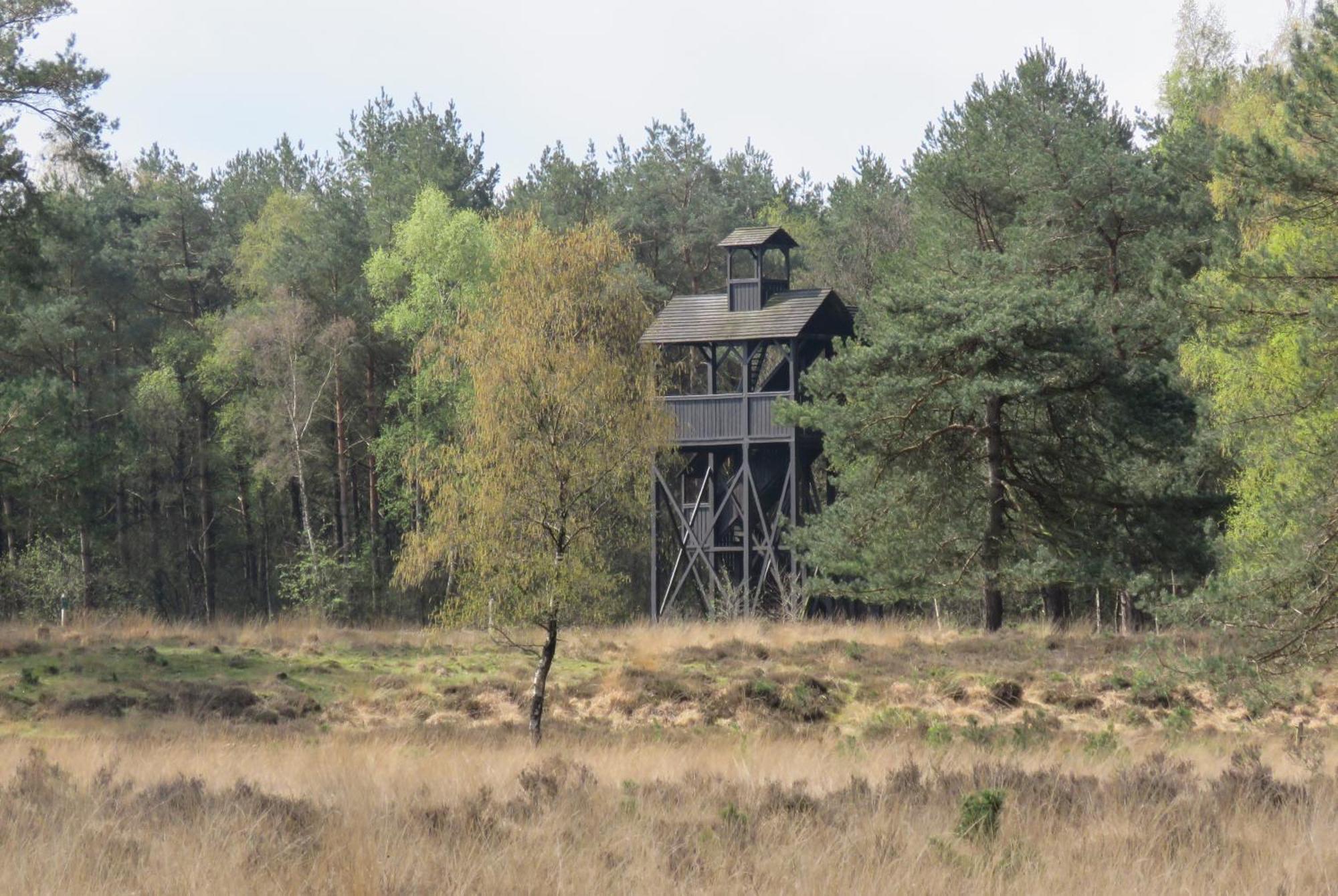 Huisje De Geluksvogel Zorgvlied Luaran gambar
