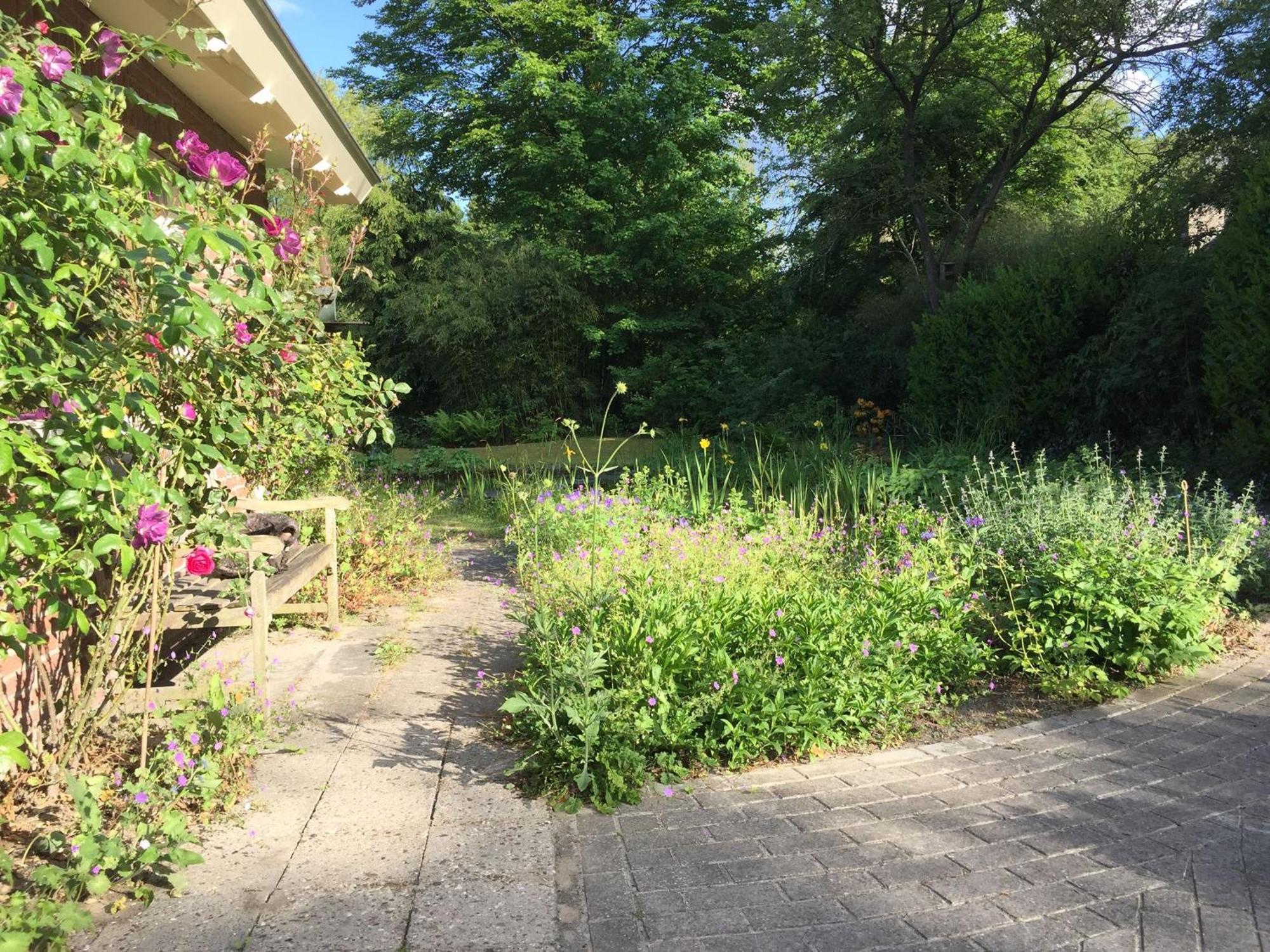 Huisje De Geluksvogel Zorgvlied Luaran gambar